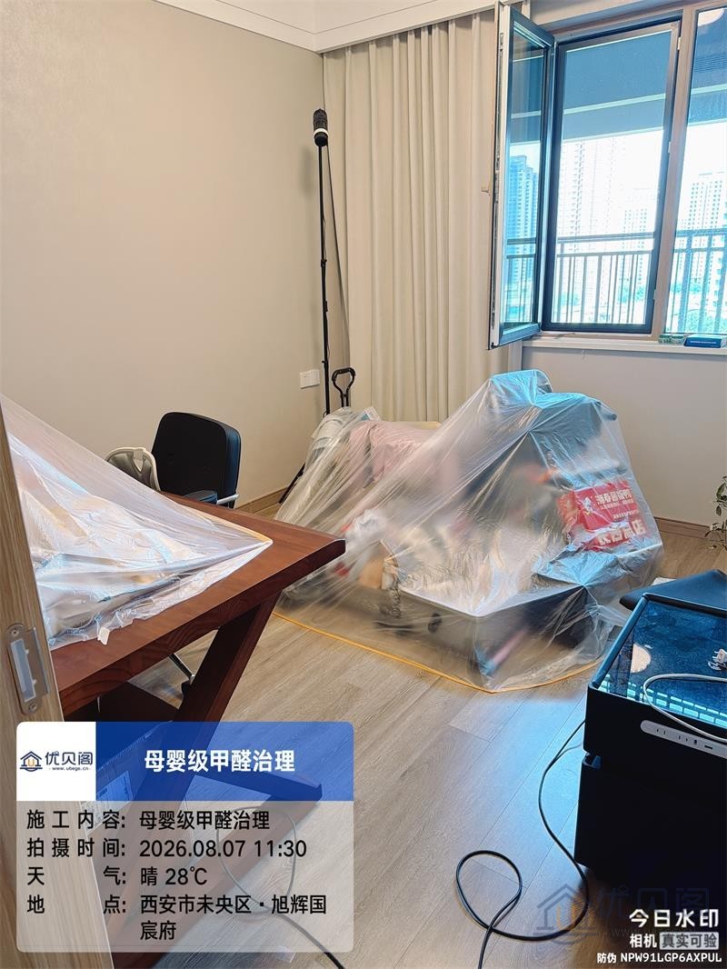 治理团队于客厅喷洒光触媒分解甲醛
